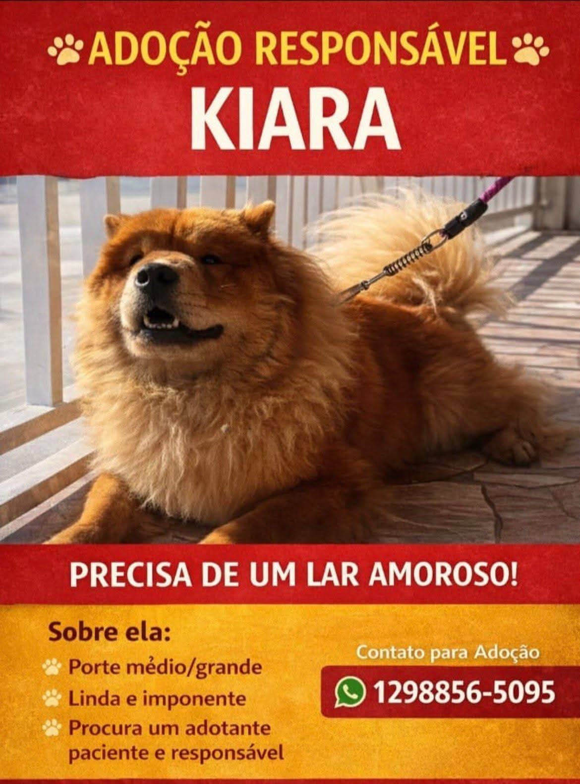 Portal Adocão ADOÇÃO URGENTE  São José dos Campos