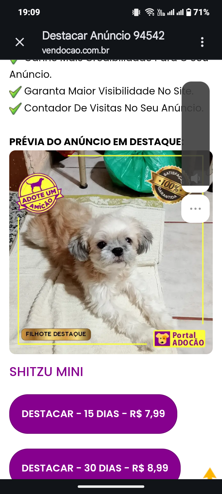 Portal Adocão Shitzu mini BELO HORIZONTE